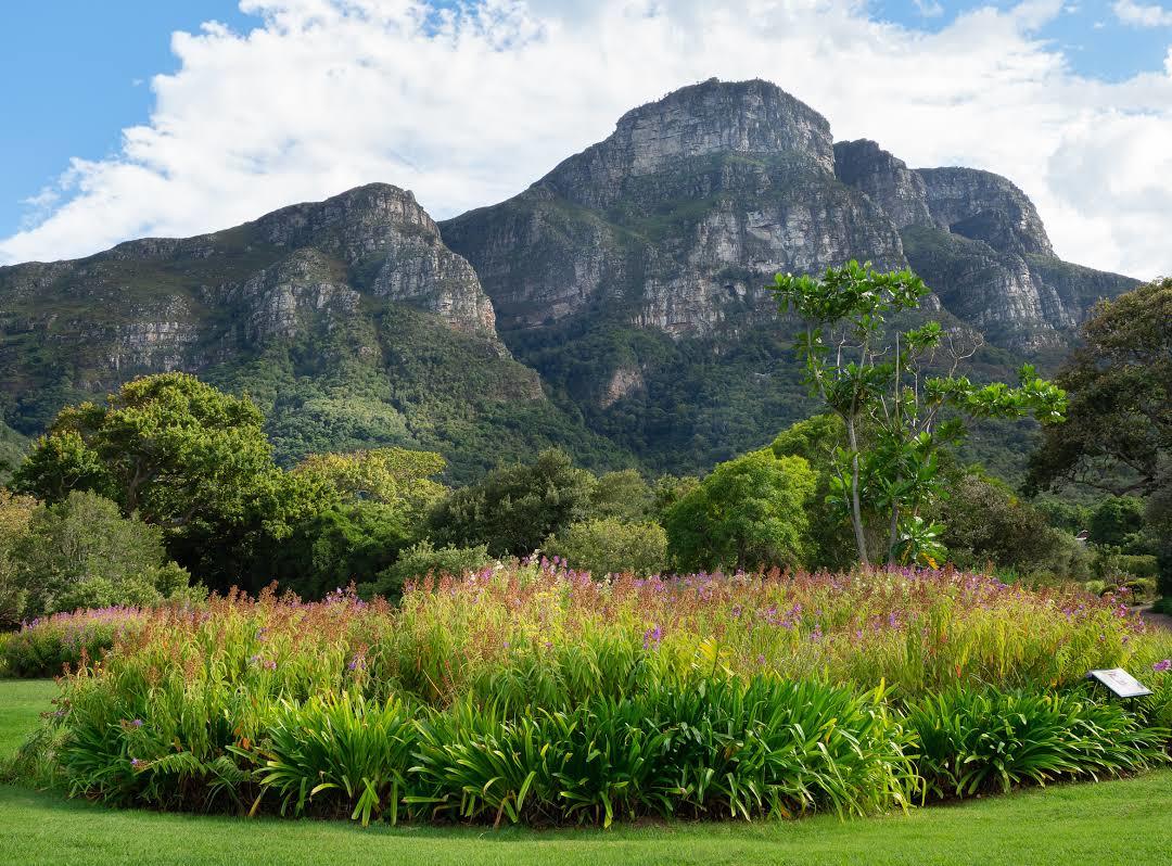 Botanischer Garten Kirstenbosch