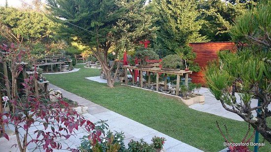 Bishopsford Bonsai Garden